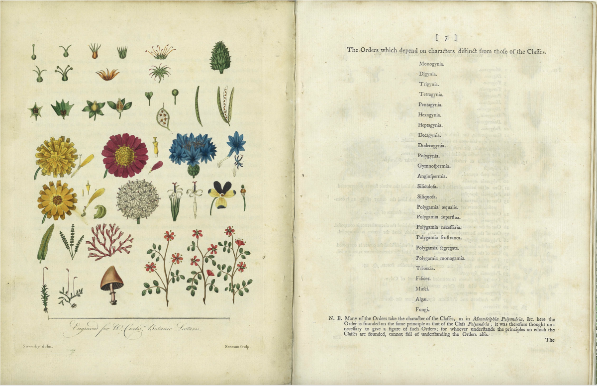 Linée, Système de Botanie, 1777, planche 2